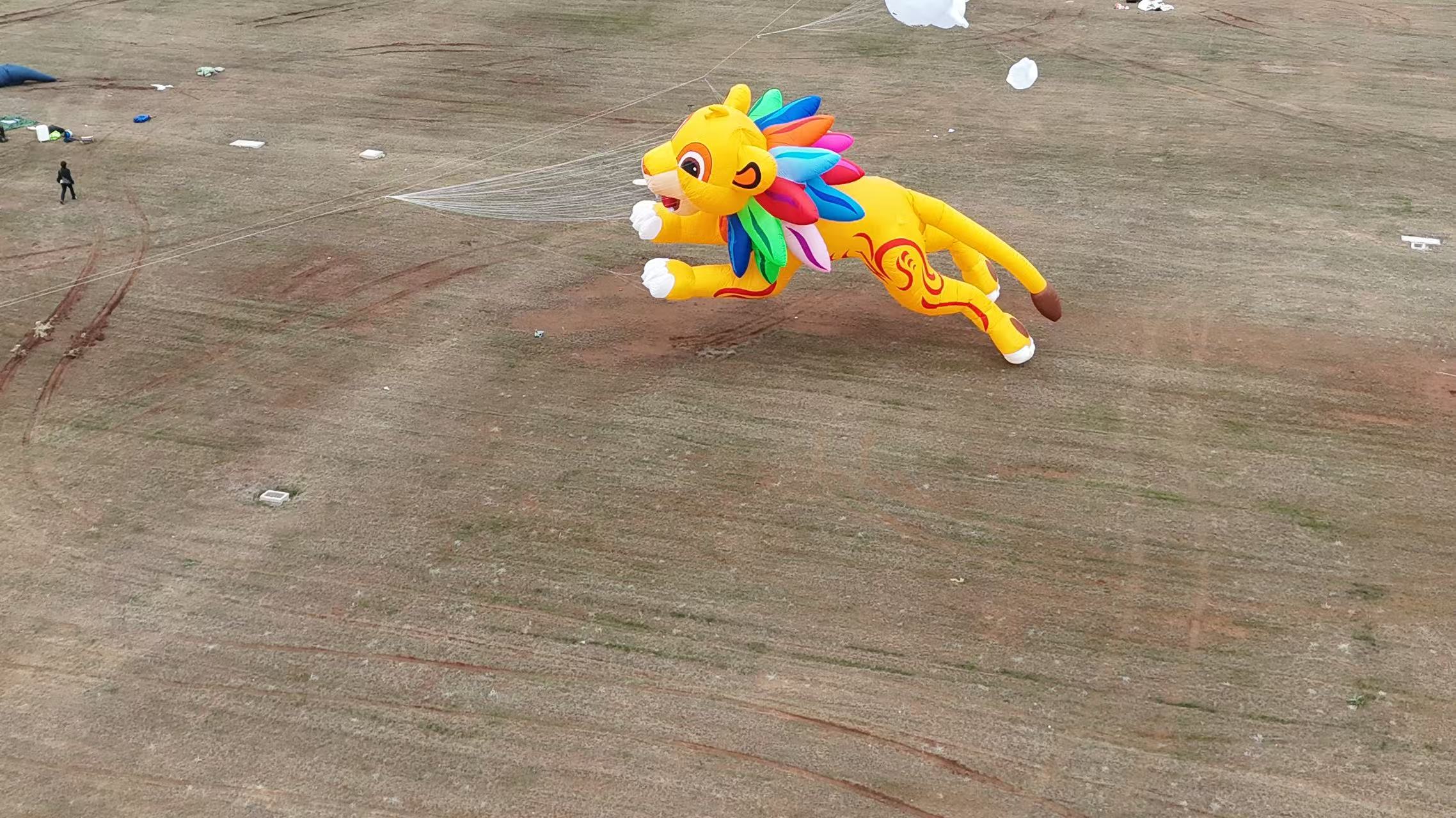 赣州市品牌风筝定制风筝制作 - 价格