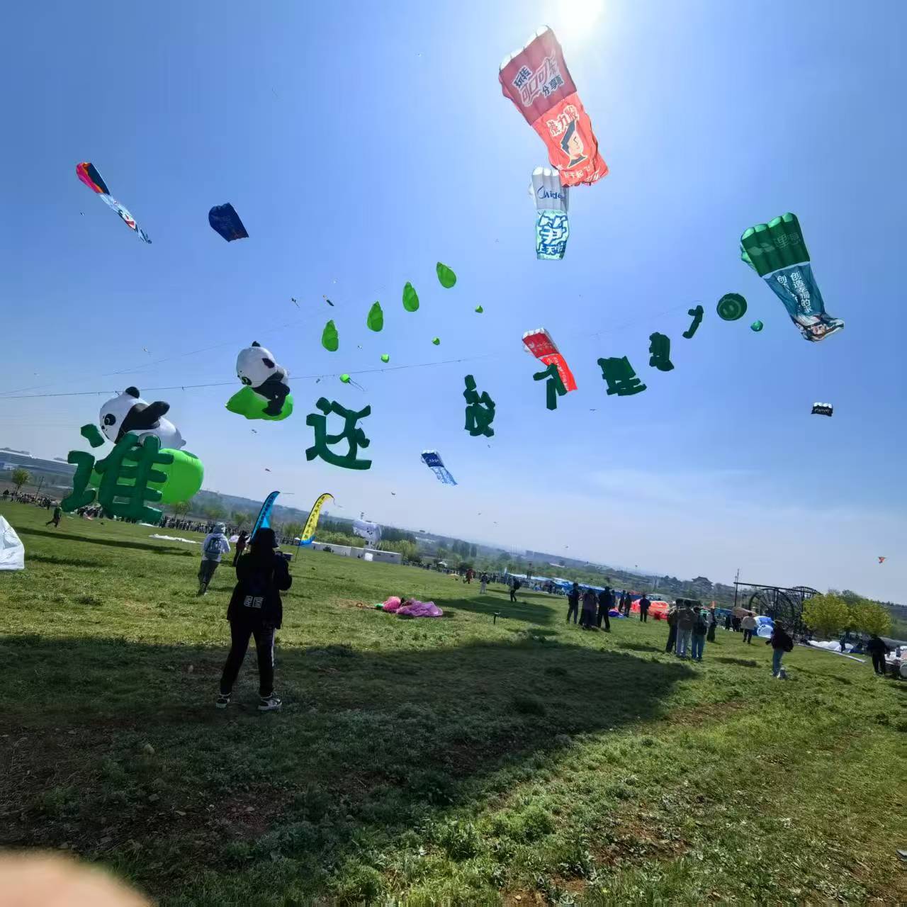 赣州市风筝放飞活动策划风筝定制 - 排名